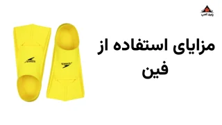 مزایای استفاده از فین شنا؛ چرا شنا کردن با فین به بهبود عملکرد شما کمک میکند؟